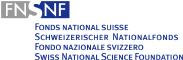 logo snf